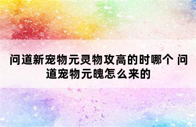 问道新宠物元灵物攻高的时哪个 问道宠物元魄怎么来的